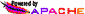 Apache Web Server