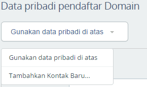 Data pribadi pendaftar Domain